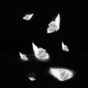 东北老太婆交换乱配
